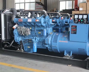 發(fā)電機 (11)